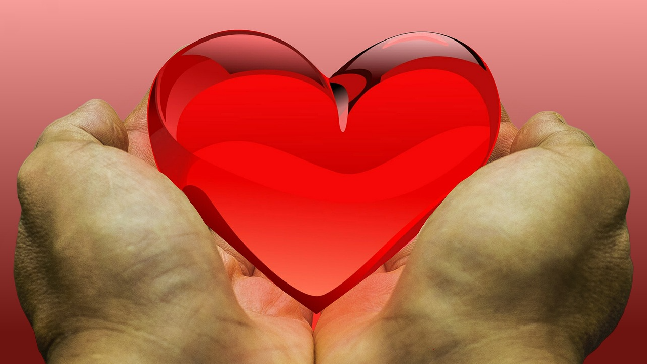 brain-dead patient's organ donation gives new life to multiple recipients brain-dead patient's organ donation gives new life to multiple recipients