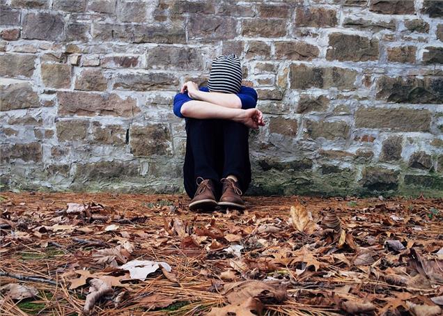 1 in every 20 indians suffers from depression

