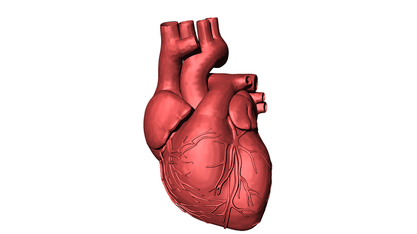 understanding heart diseases


